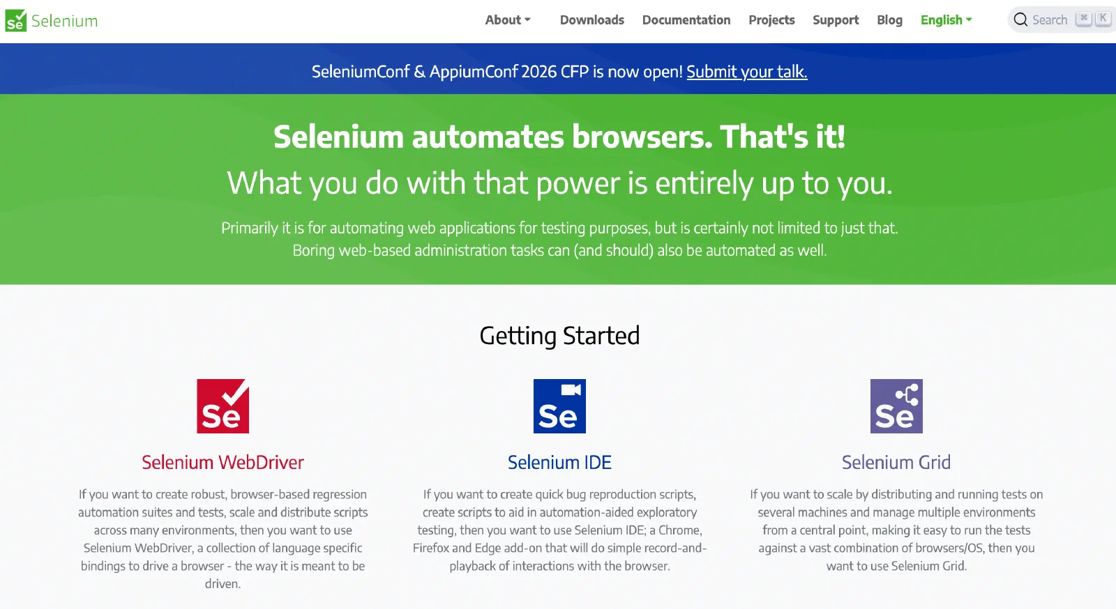 Скриншот страницы Selenium